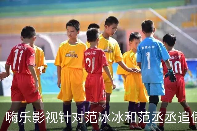 嗨乐影视针对范冰冰和范丞丞追债6700万的公开信引发关注
